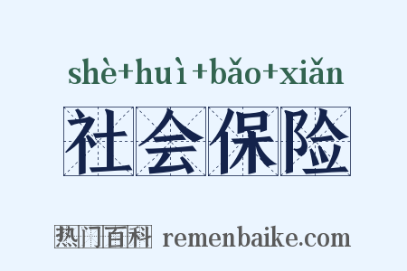 社会保险是什么意思的图片